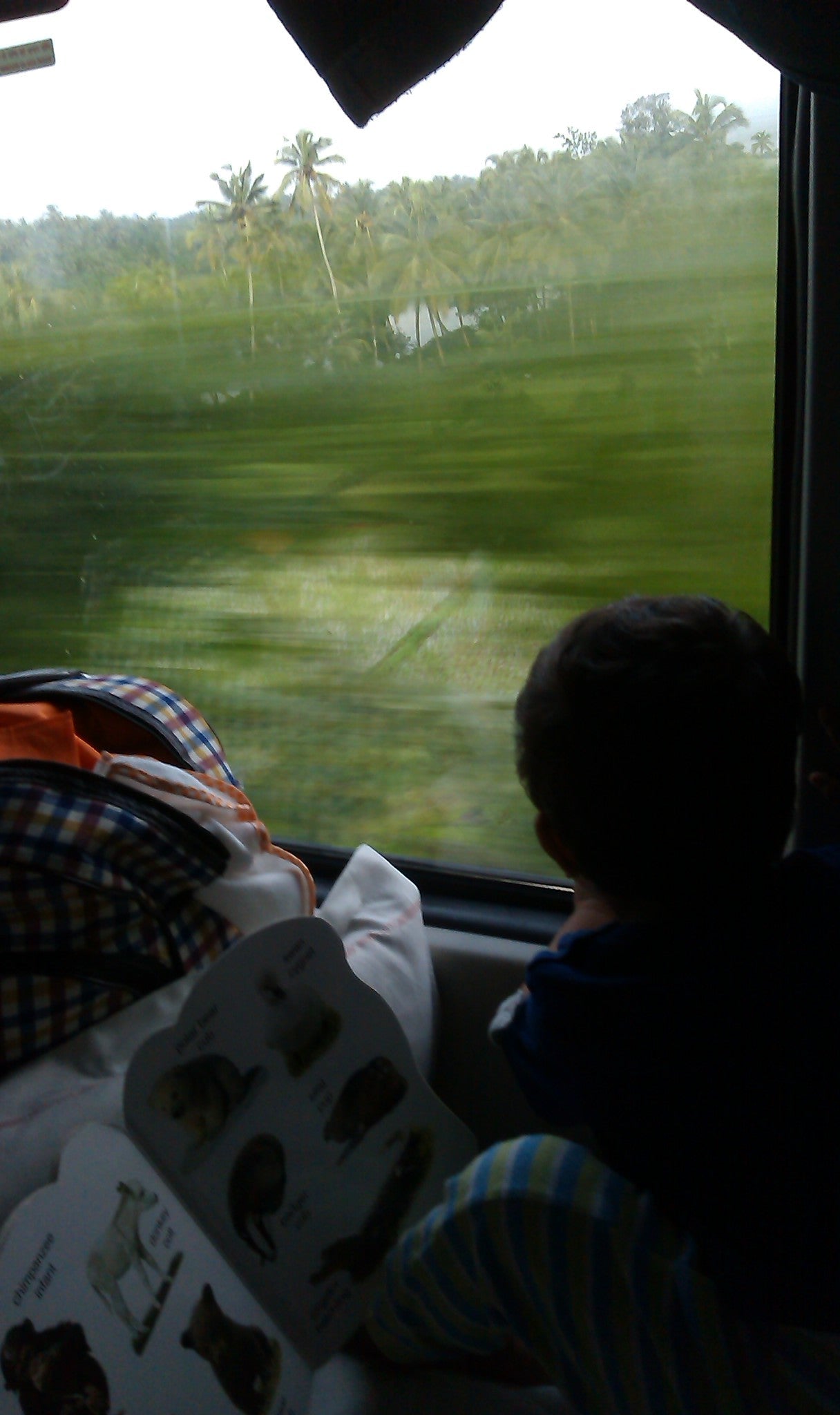 All Aboard The Choo Choo Train!
