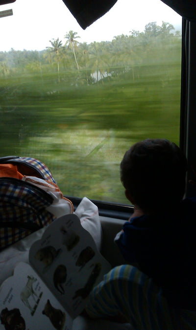 All Aboard The Choo Choo Train!