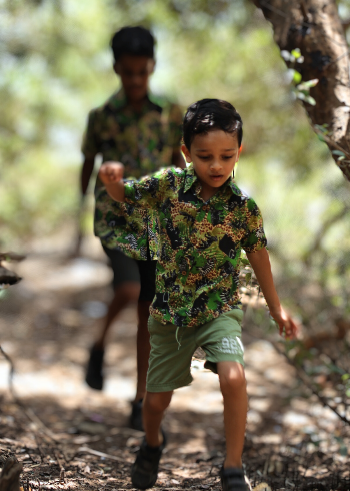 Summer Shirt | Safari