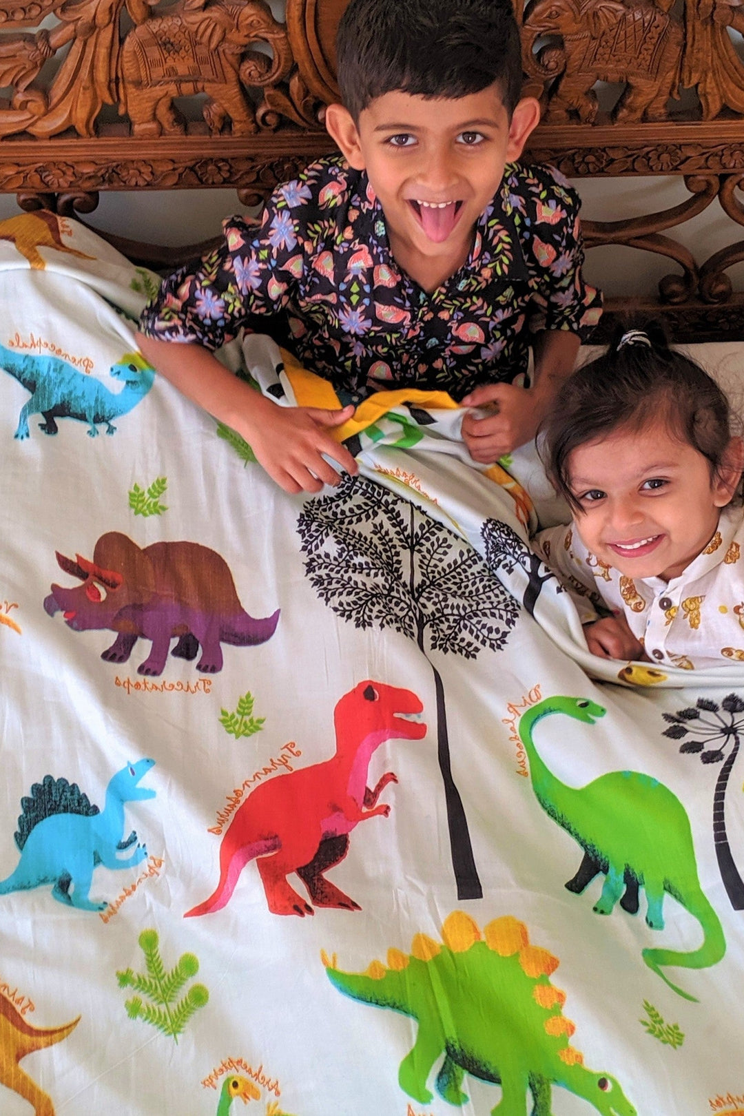 dinosaur themed colourful cotton all weather blanket
