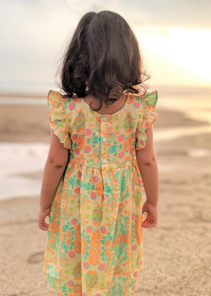 Cotton Malmal Dress | Bugs &amp; Beetles | 0-12Y