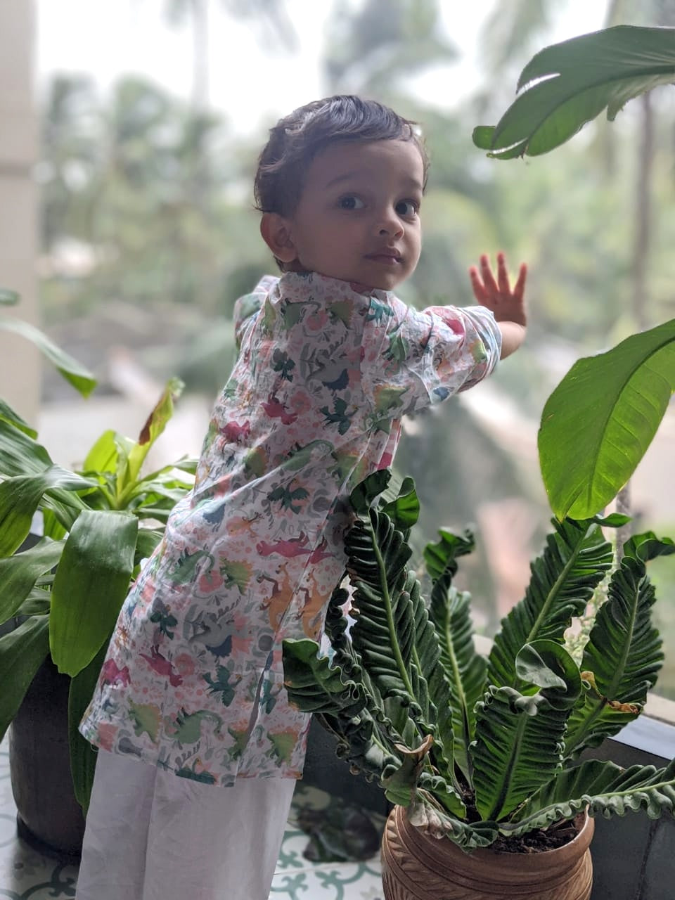 Malmal Kurta for Boys, Men | Dino-Roar