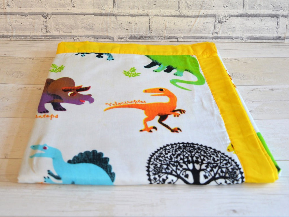 ac blanket for kids dinosaur print